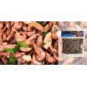 Les Crevettes grises entières crues 250 g