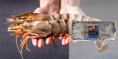 Les Énormes Gambas sauvages tigrées entières crues 2 kg