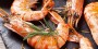 Recette gourmande de Crevettes de Méditerranée sautées à la Provençale