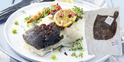 Le Gros Turbot sauvage entier pêche française 2 à 3 kg