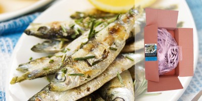 Les Petites Sardines entières crues 5 kg