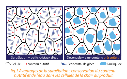 A quoi ressemble un produit surgelé une fois décongelé